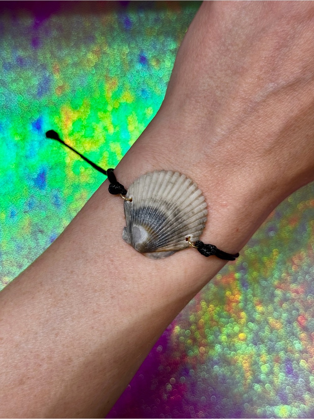 Adjustable Rare Colored Black and Gray Scallop with Black Cord Bracelet